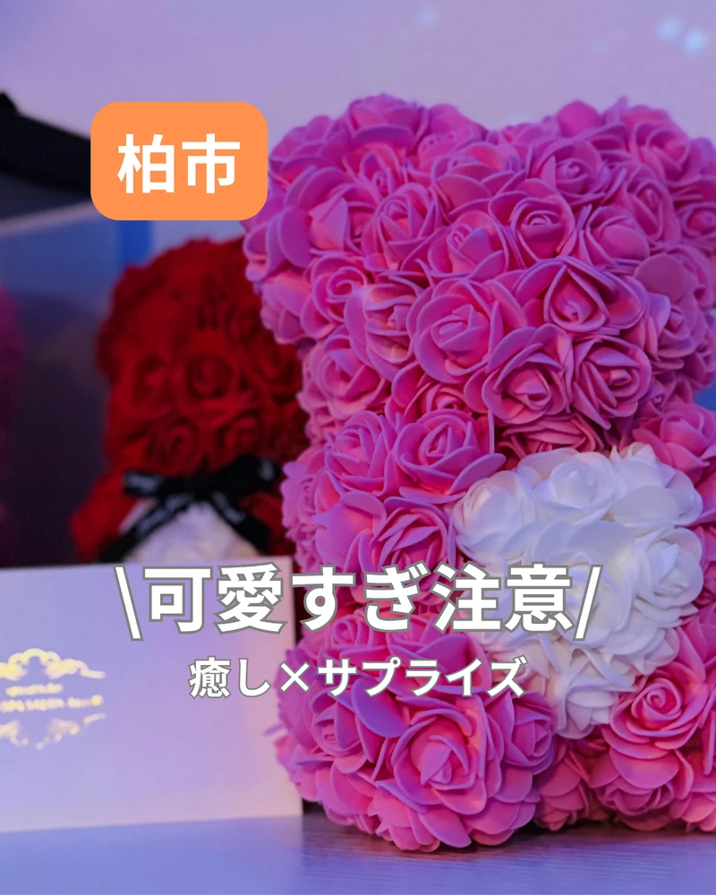 画像12912